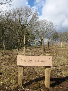 The Jim Bull Wood
